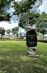 Pine Villas (D25), Semi-Detached #551385751